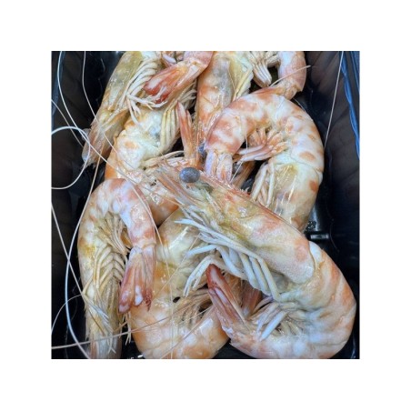 LLAGOSTINS DE SANT CARLES