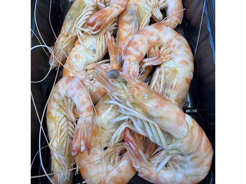 LLAGOSTINS DE SANT CARLES