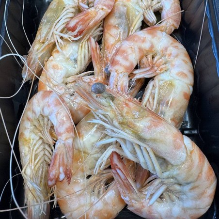 LLAGOSTINS DE SANT CARLES